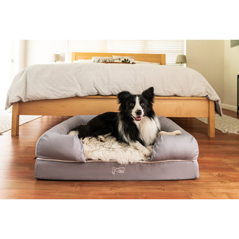 Paw Brands PupLounge Memory Foam Bolster Bed & Topper & Reviews Wayfair